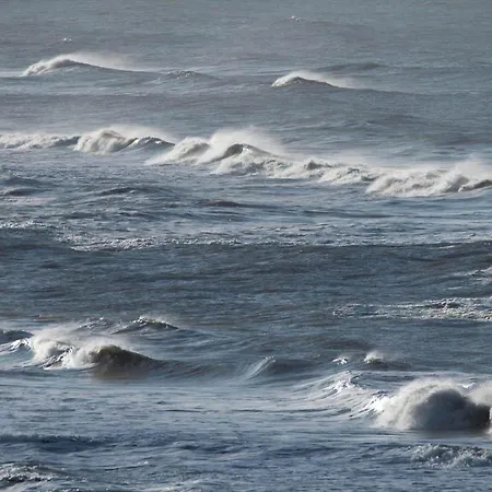 5534-hvide-sande-sonder-klitvej-84-4 Havrvig