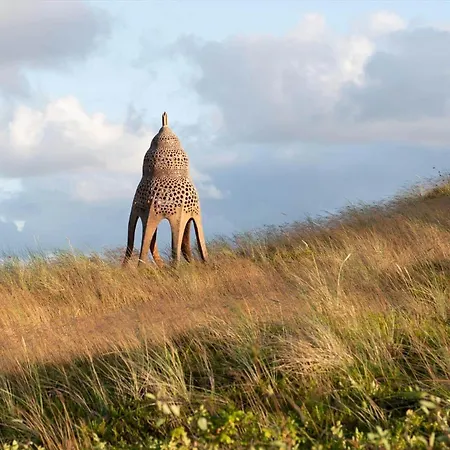 5534-hvide-sande-sonder-klitvej-84-4 *