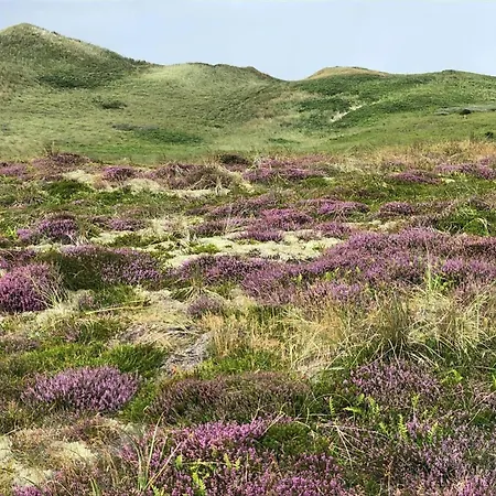 5534-hvide-sande-sonder-klitvej-84-4 Havrvig